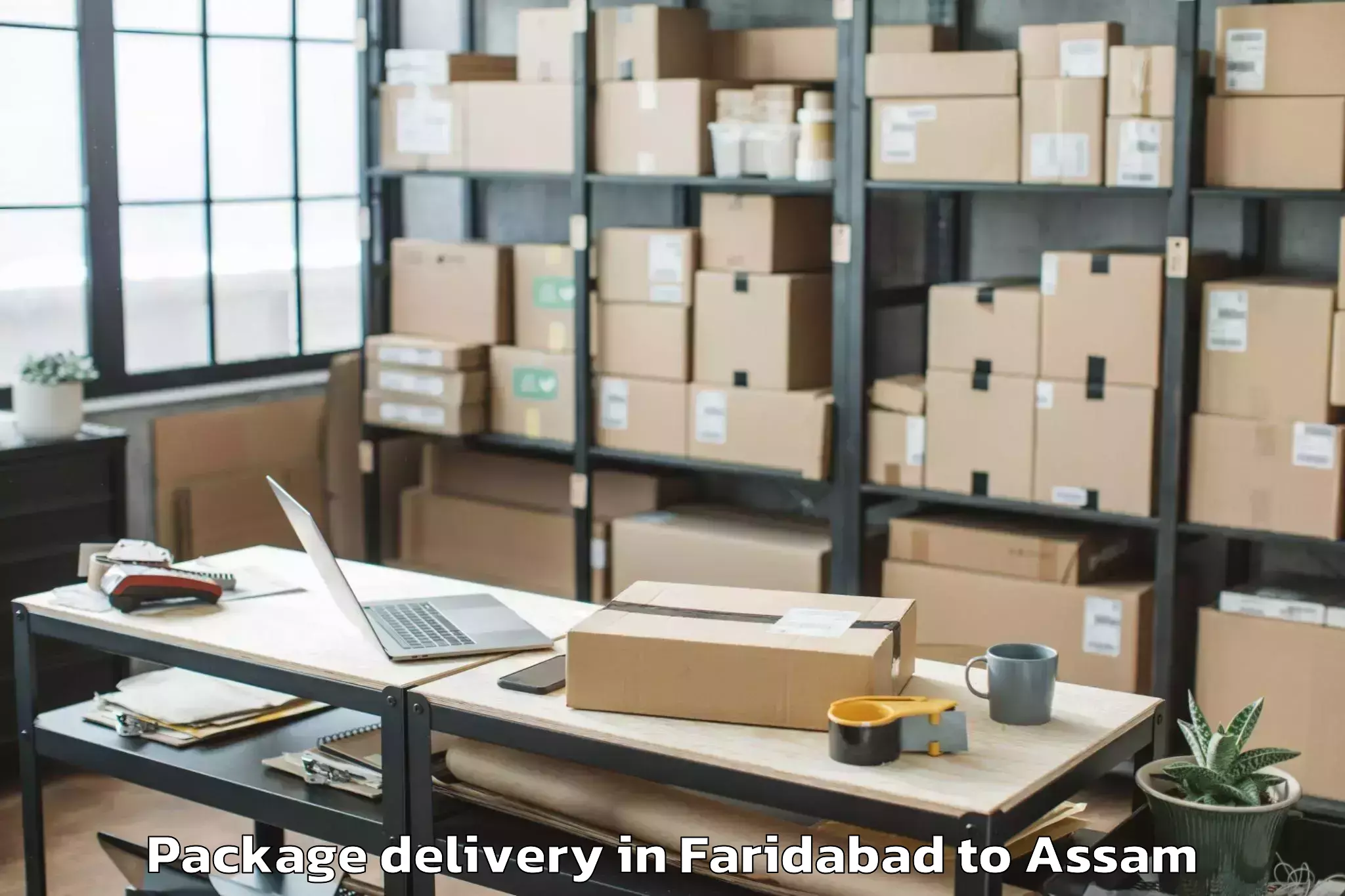 Book Faridabad to Rangapara Package Delivery Online